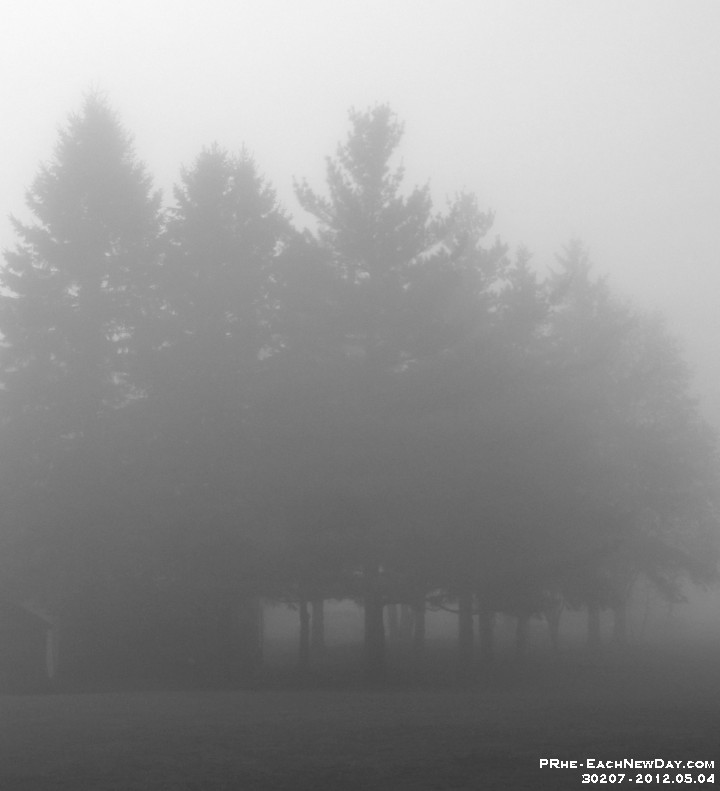 30207CrLeBw - One foggy morning with Andy